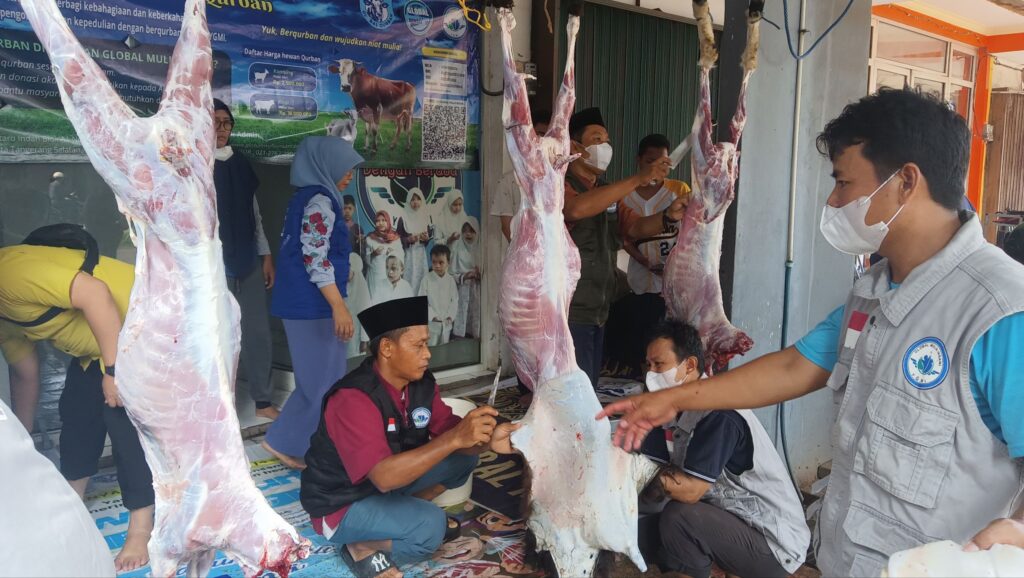 Qurban YGMI 2025